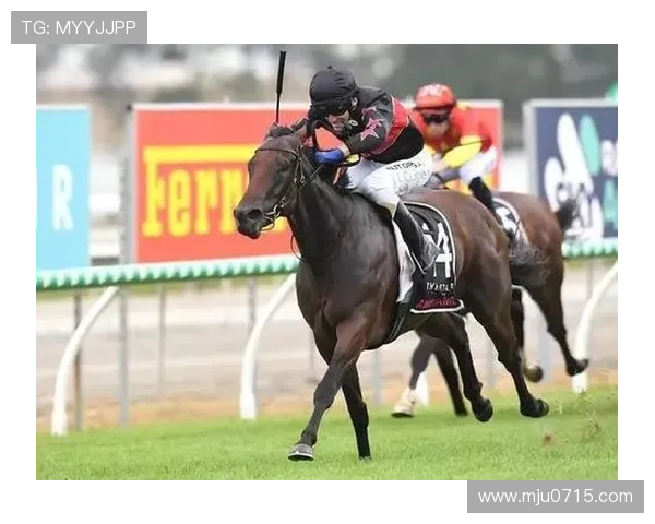 普瓦捷俱乐部遭调查 市长回应关注